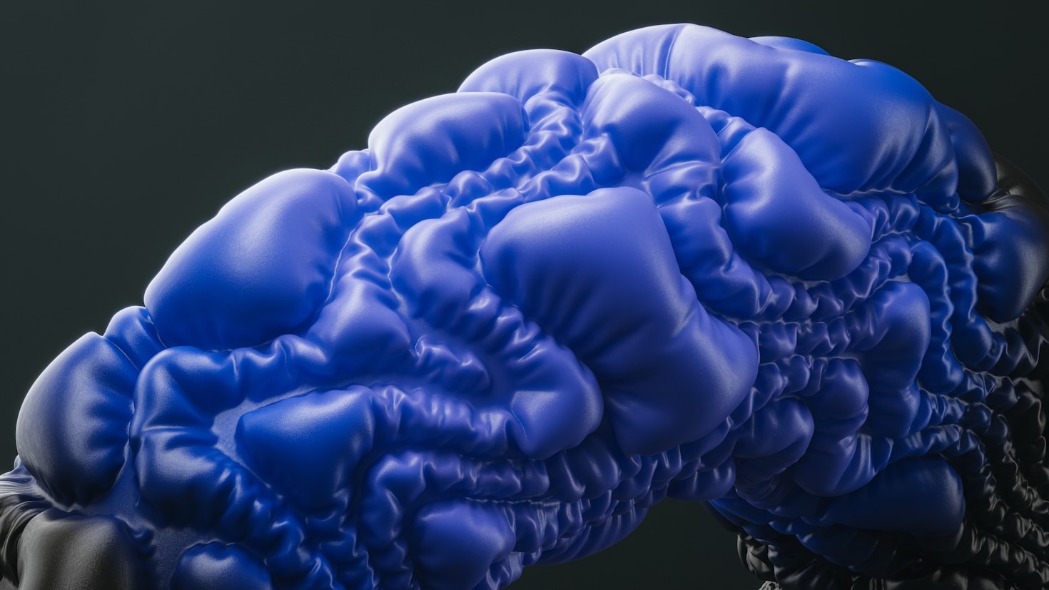 Cinco estratégias para melhorar sua performance cognitiva